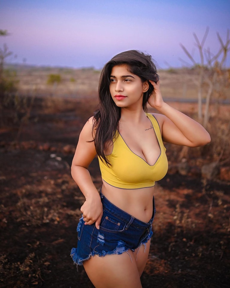 vip hyderabad escorts